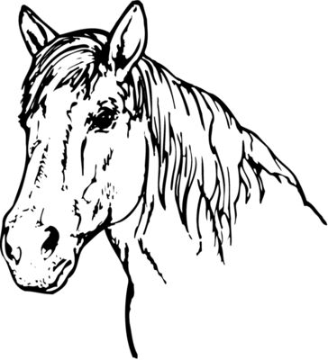 HORSE009