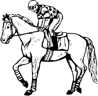 HORSE048