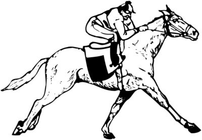 HORSE050