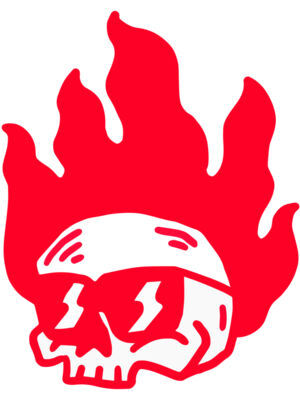 Elements Skulls logo template 51