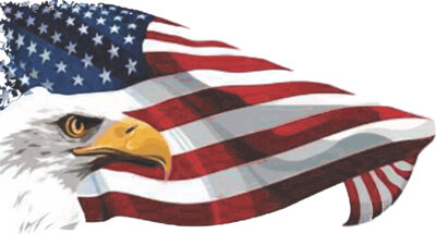 distressed Eagle and Flag 