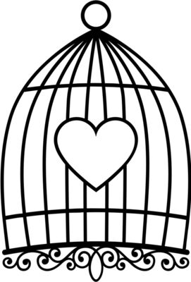 bird cage3
