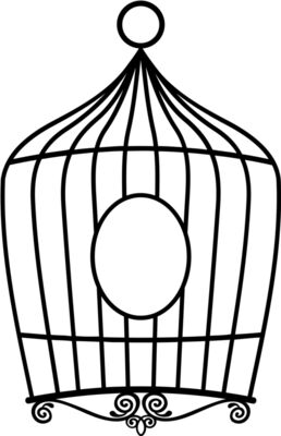 bird cage1