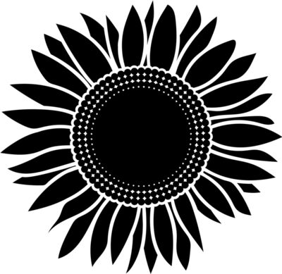 sunflower A black