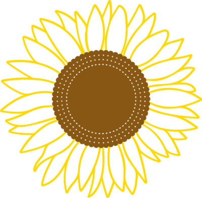 sunflower line c