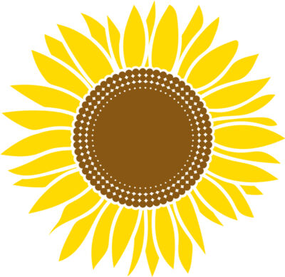 sunflower A