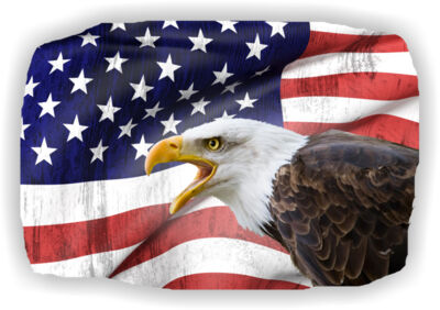 American Flag and Eagle 1 