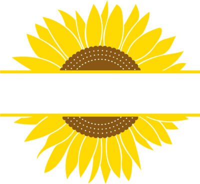 sunflowers B  4 