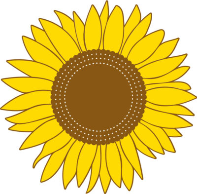 sunflowers B  1 