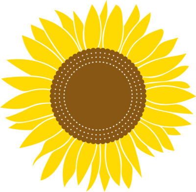sunflowers B  2 