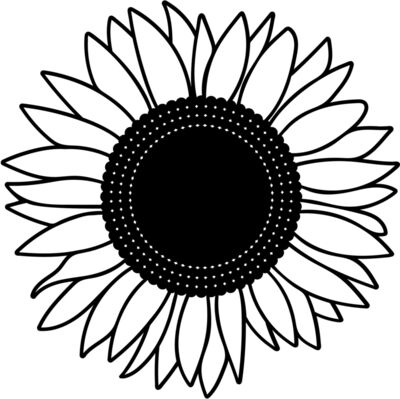 sunflower black